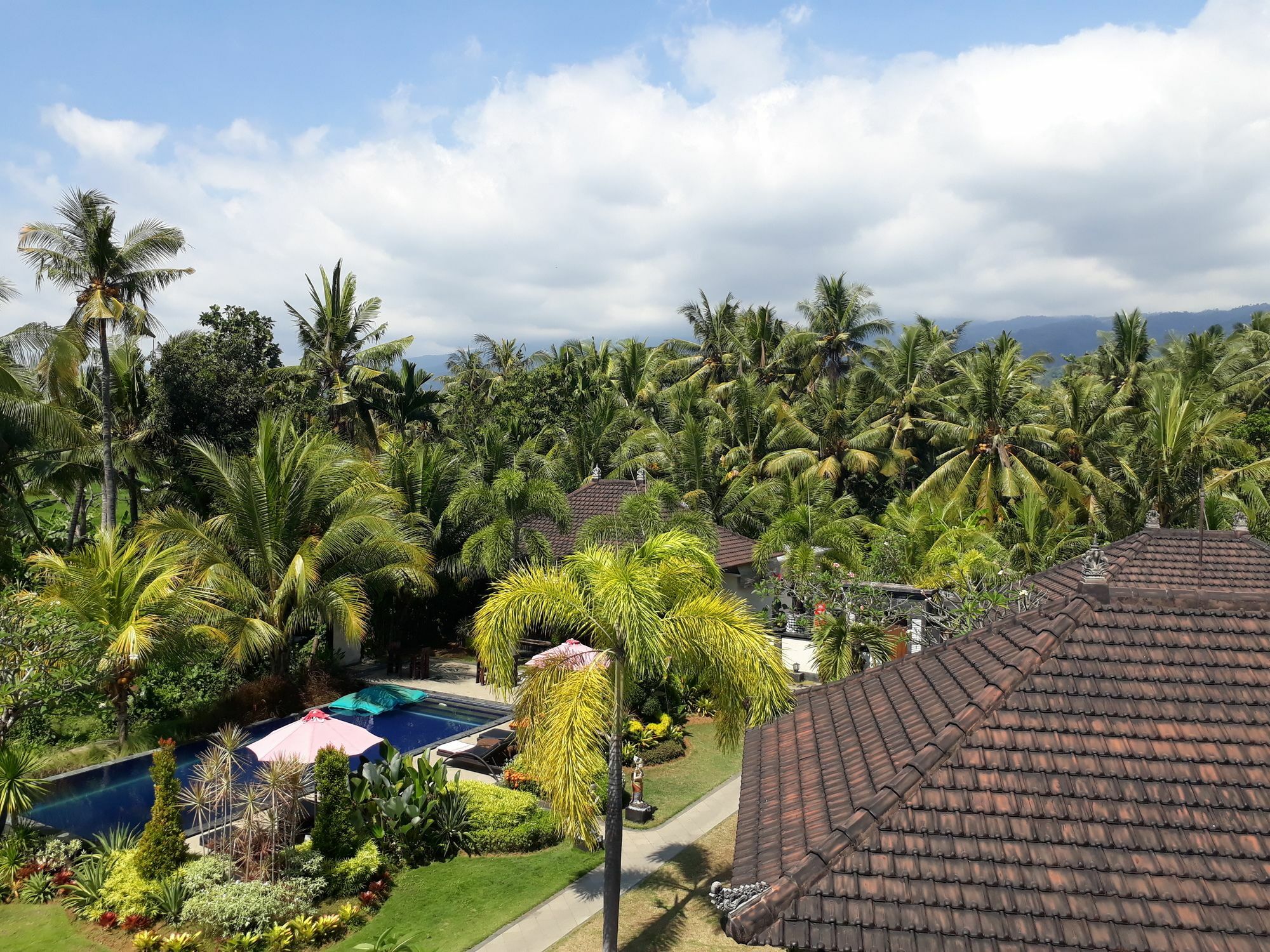 Pandawa Village Lovina Exterior foto